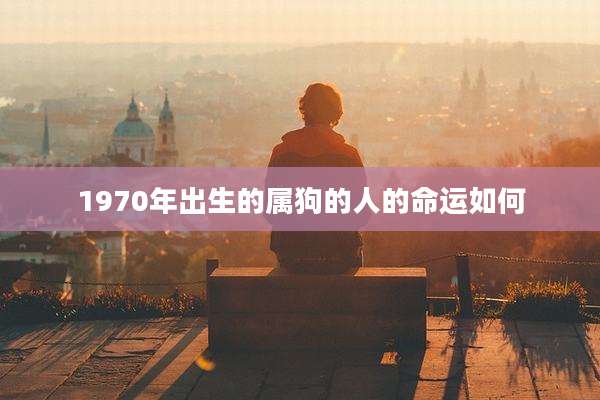 1970年出生的属狗的人的命运如何