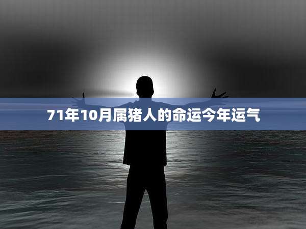 71年10月属猪人的命运今年运气