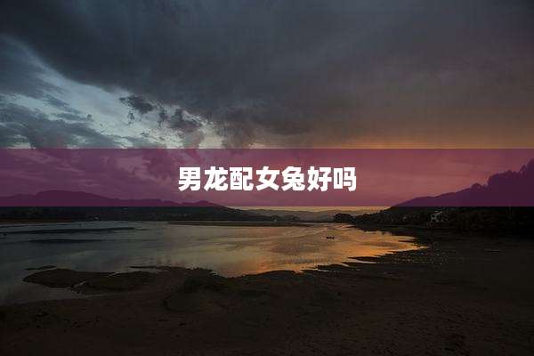 男龙配女兔好吗