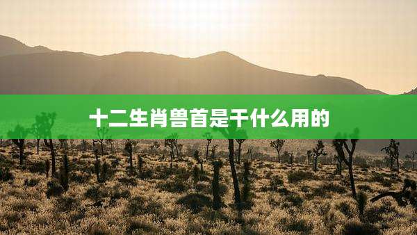 十二生肖兽首是干什么用的