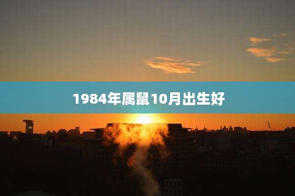 1984年属鼠10月出生好