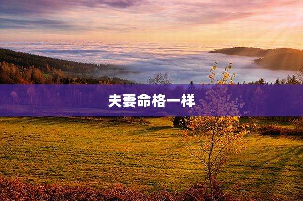 夫妻命格一样