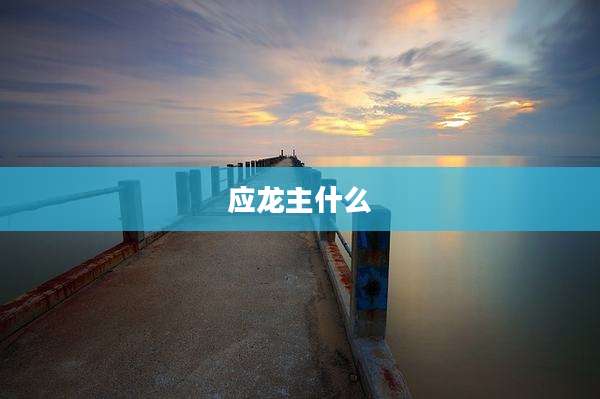 应龙主什么