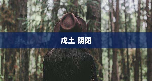 戊土 阴阳