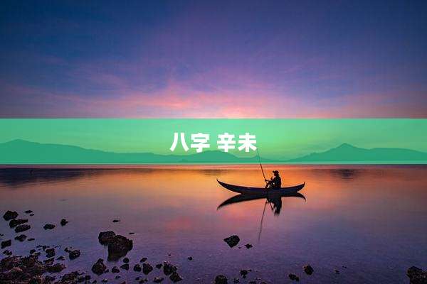 八字 辛未