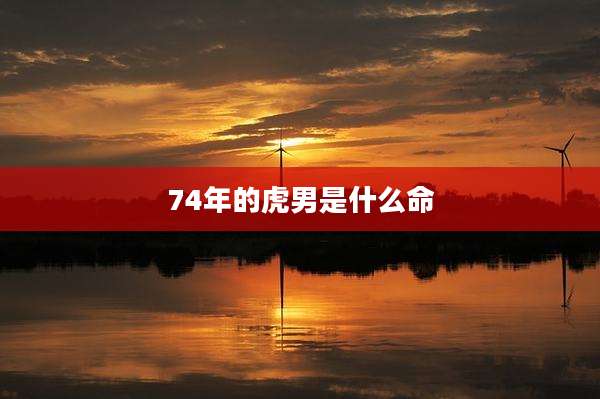 74年的虎男是什么命