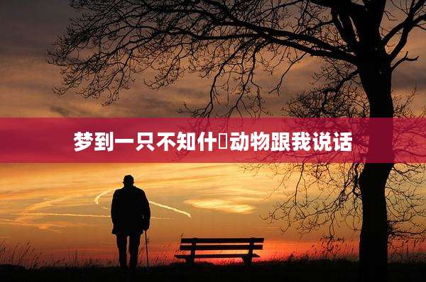 梦到一只不知什麼动物跟我说话