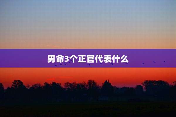 男命3个正官代表什么