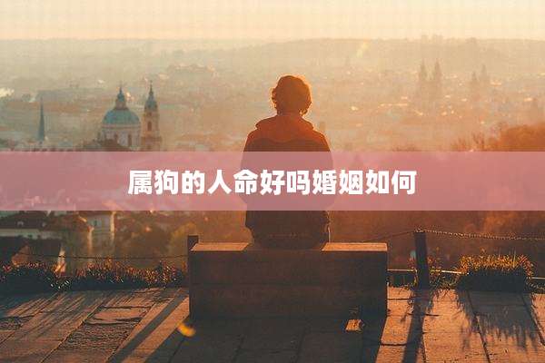 属狗的人命好吗婚姻如何
