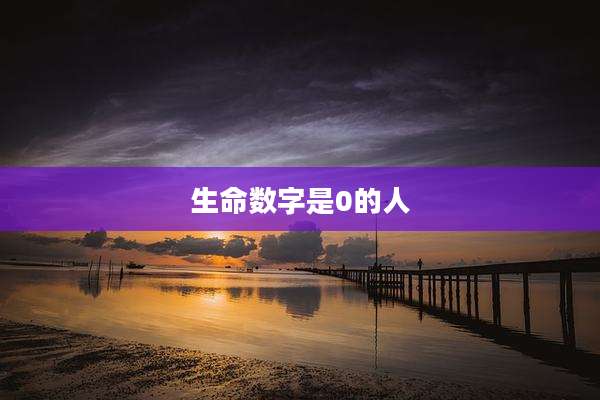 生命数字是0的人