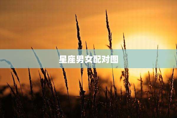 星座男女配对图