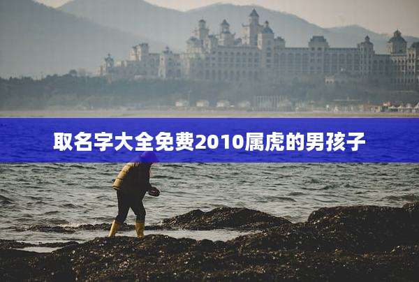 取名字大全免费2010属虎的男孩子