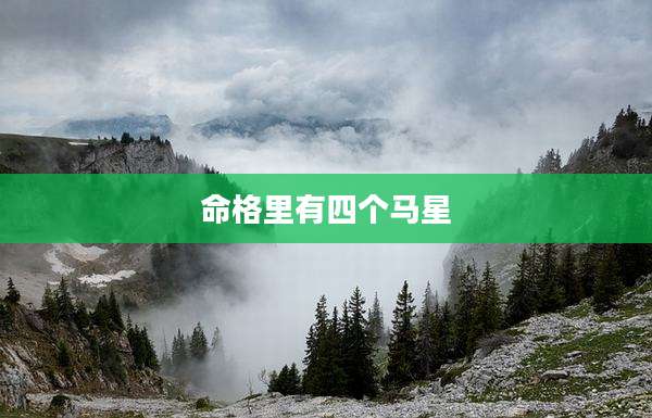 命格里有四个马星