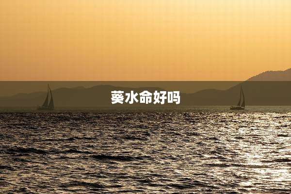 葵水命好吗