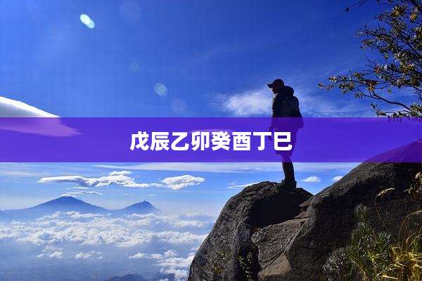 戊辰乙卯癸酉丁巳