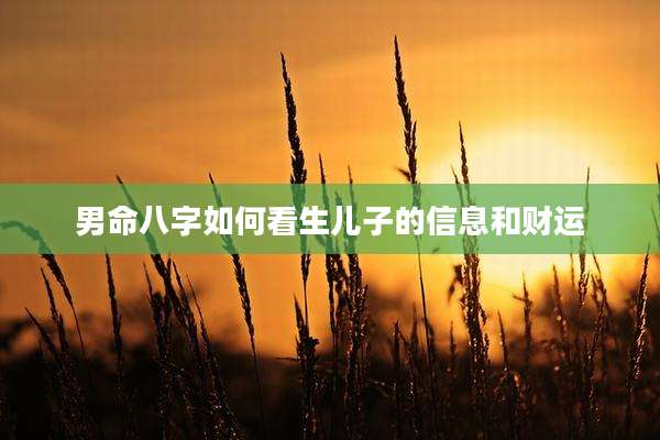男命八字如何看生儿子的信息和财运