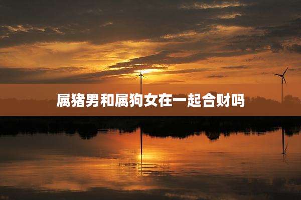 属猪男和属狗女在一起合财吗