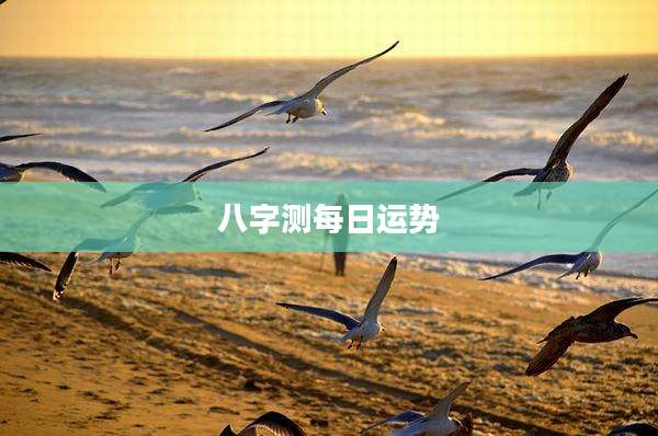 八字测每日运势