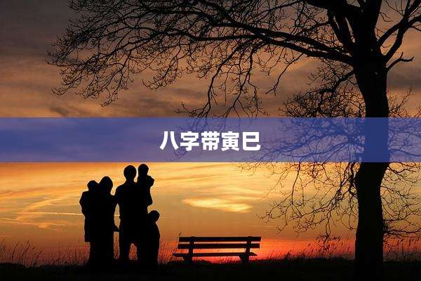 八字带寅巳