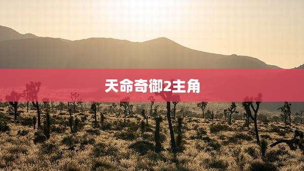 天命奇御2主角