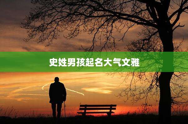 史姓男孩起名大气文雅