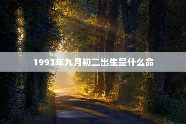 1991年九月初二出生是什么命