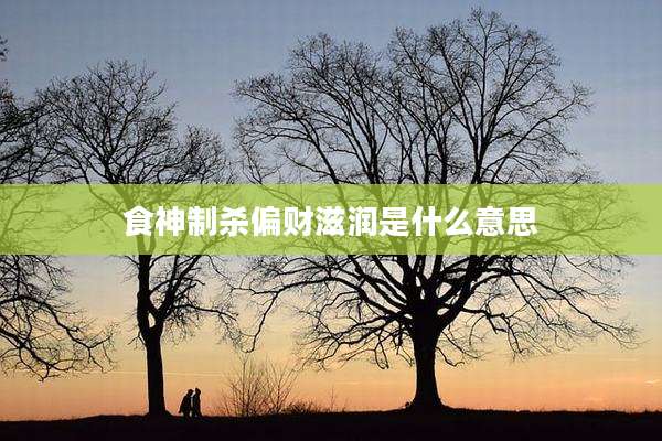 食神制杀偏财滋润是什么意思