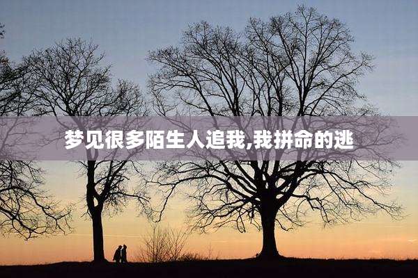 梦见很多陌生人追我,我拼命的逃
