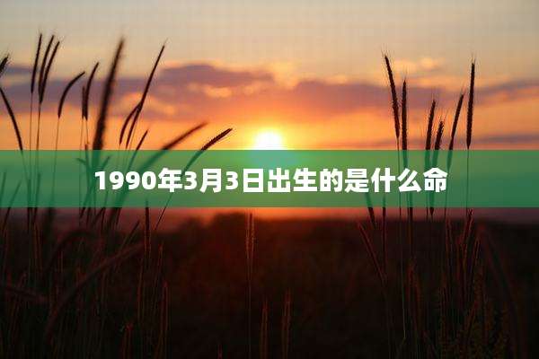1990年3月3日出生的是什么命