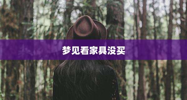 梦见看家具没买