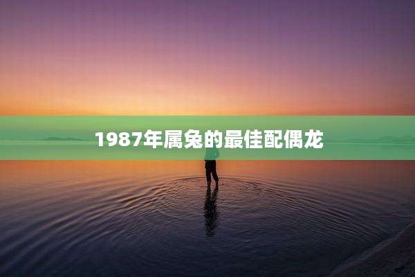 1987年属兔的最佳配偶龙