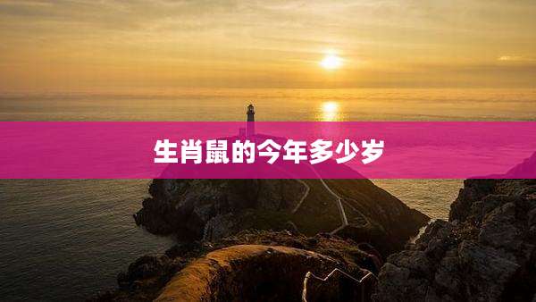 生肖鼠的今年多少岁