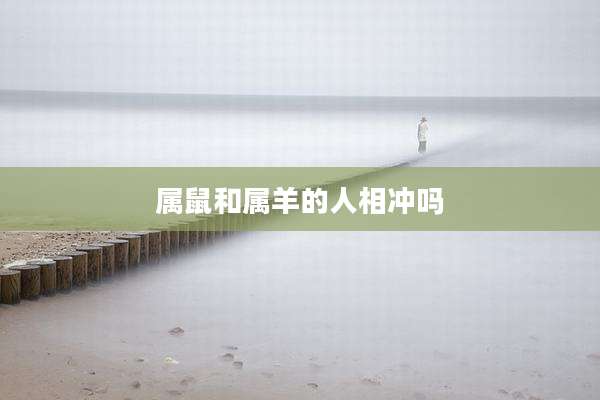 属鼠和属羊的人相冲吗