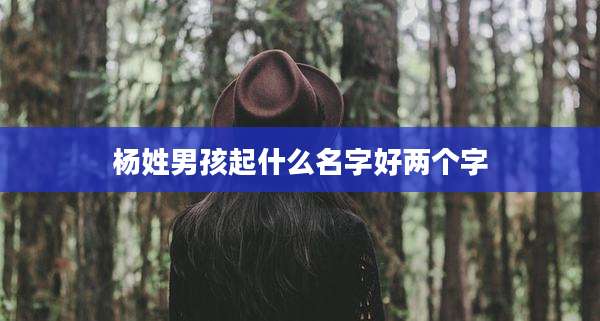 杨姓男孩起什么名字好两个字