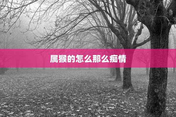 属猴的怎么那么痴情