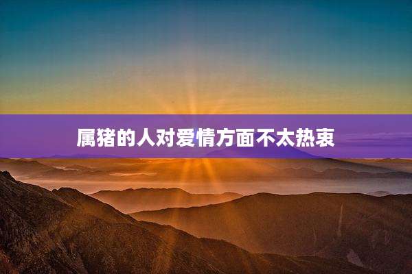 属猪的人对爱情方面不太热衷
