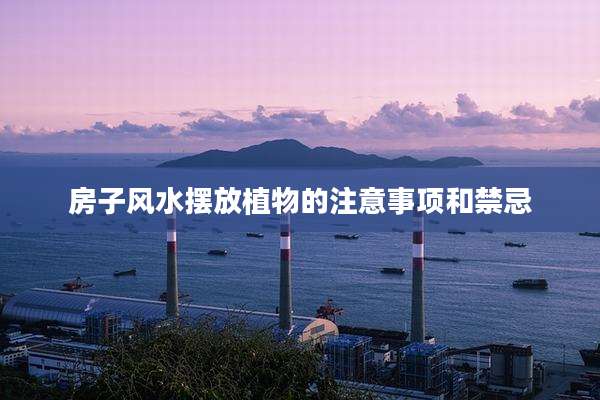 房子风水摆放植物的注意事项和禁忌