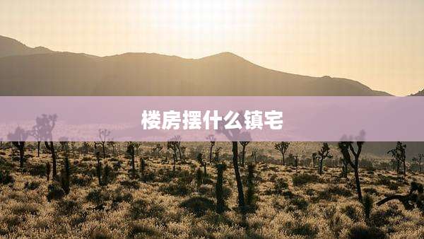 楼房摆什么镇宅