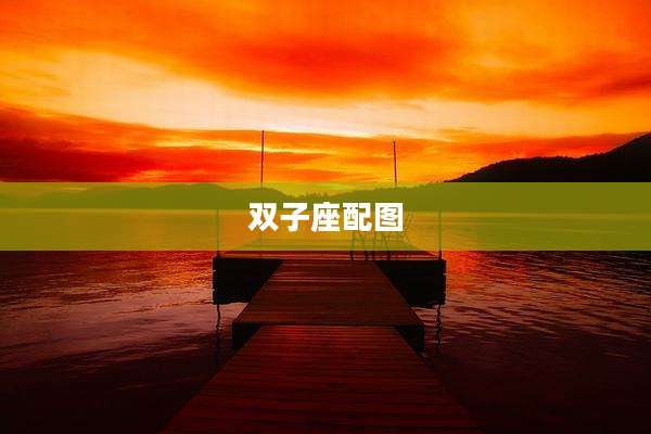 双子座配图