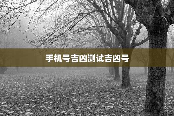 手机号吉凶测试吉凶号