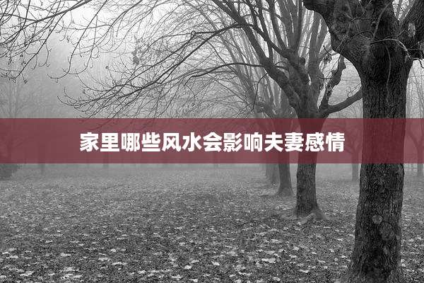 家里哪些风水会影响夫妻感情