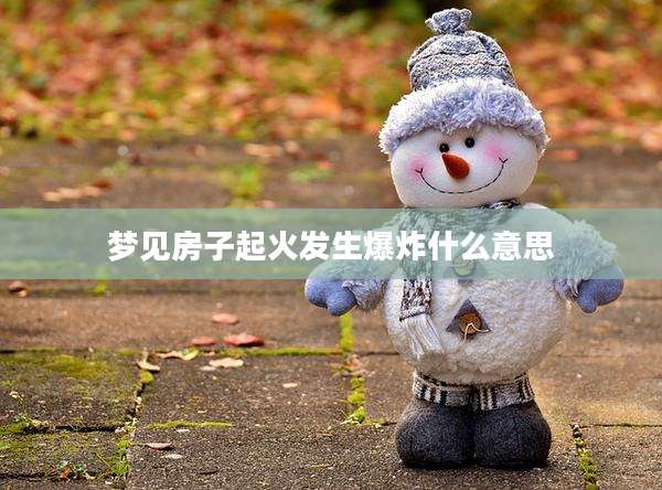 梦见房子起火发生爆炸什么意思