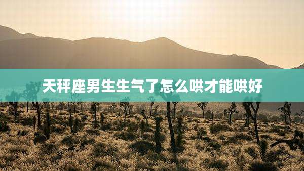 天秤座男生生气了怎么哄才能哄好