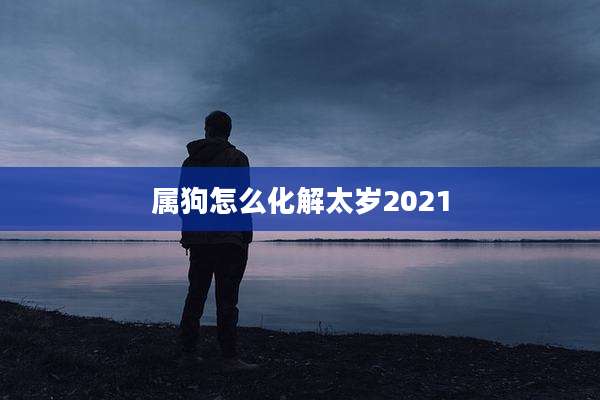 属狗怎么化解太岁2021