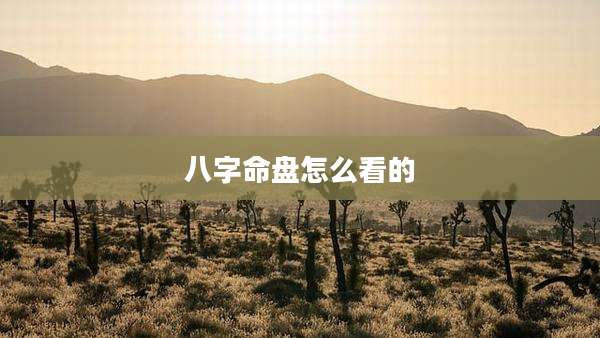 八字命盘怎么看的