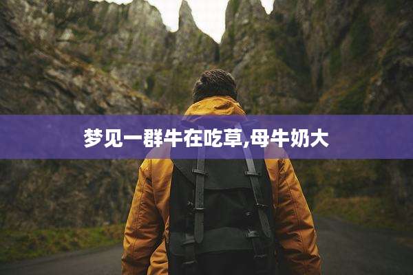 梦见一群牛在吃草,母牛奶大