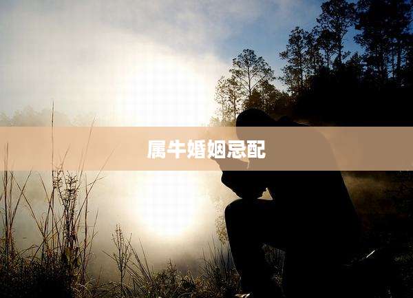 属牛婚姻忌配