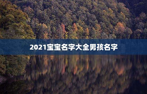 2021宝宝名字大全男孩名字