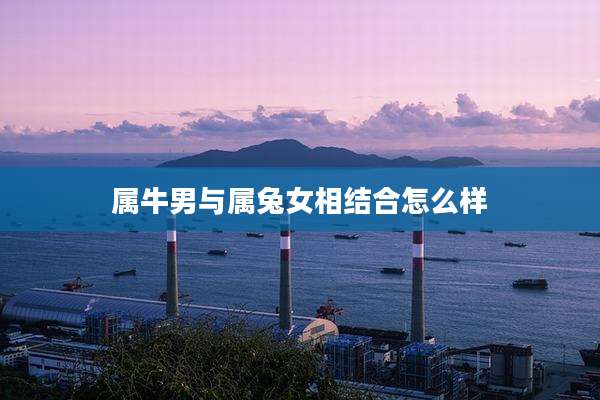 属牛男与属兔女相结合怎么样