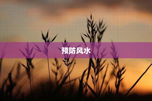 预防风水